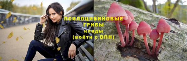 a pvp Баксан