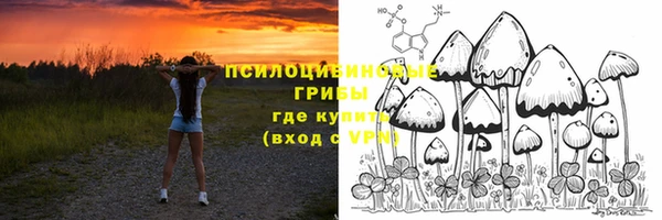 эйфоретик Балахна