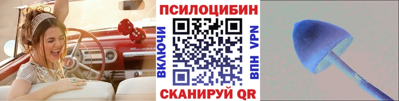 blacksprut маркетплейс  Горнозаводск  Галлюциногенные грибы Cubensis 